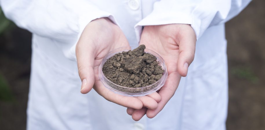 Soil Test vs No Soil Test: Cost and Construction Risk Comparison in Bali | Indo Soil